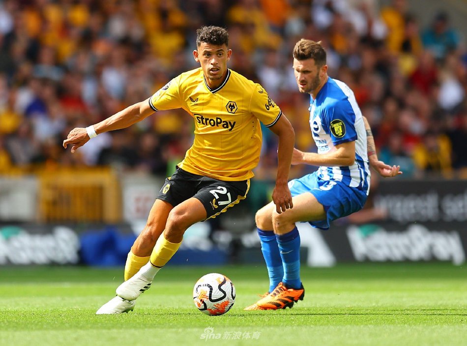 体育法官可 体育法官可